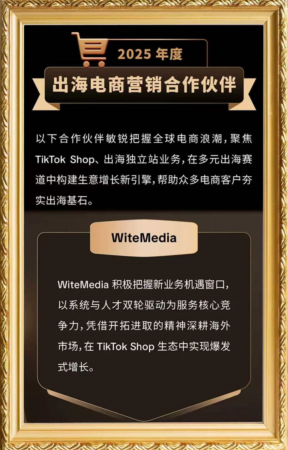 出海电商营销伙伴
